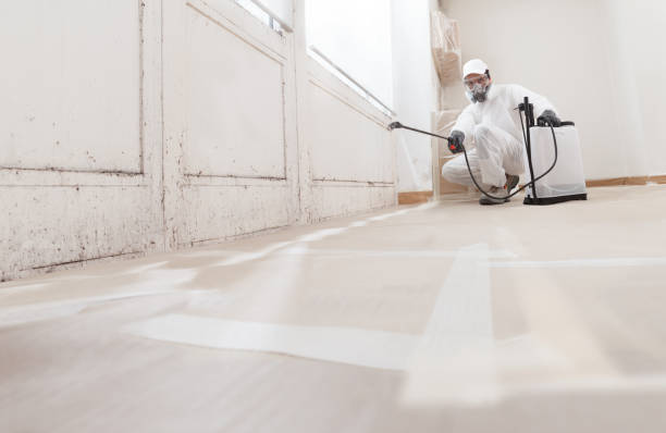 24/7 Emergency Black Mold Removal experts in Houston, PA