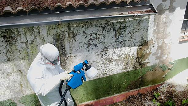 Trusted Mold Inspection service in Houston, PA - Cheap Mold Removal